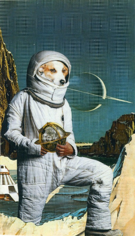 Oliver Dunne & Siobhán McCooey: Animal World