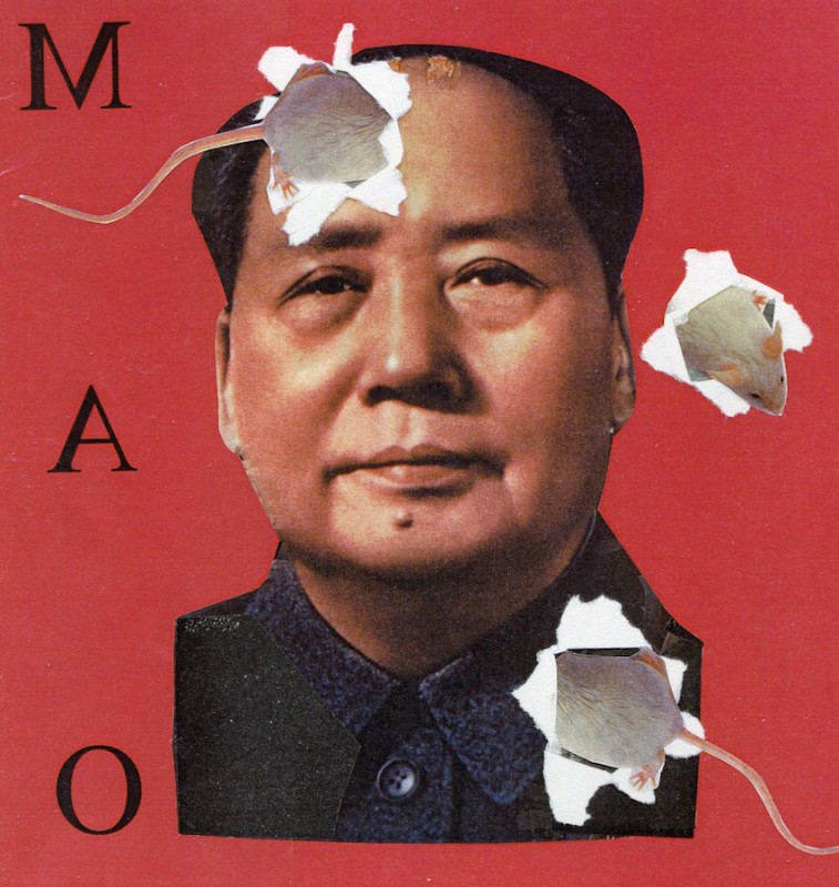 Oliver Dunne & Siobhán McCooey: Pocket Dictators: Mice