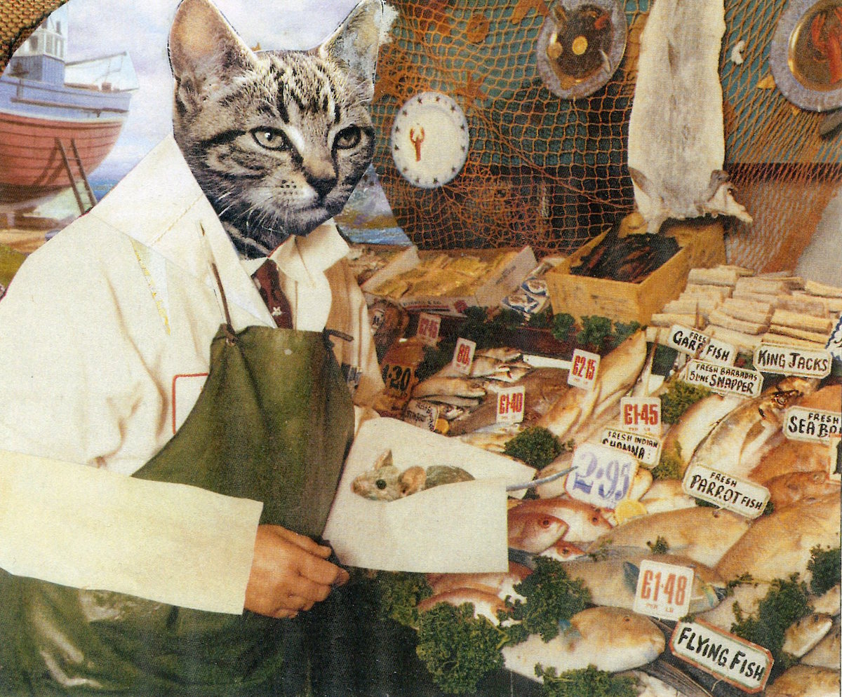 One mouse, and fresh, will make a handy snack; If he should run away, we’ll bring him back!