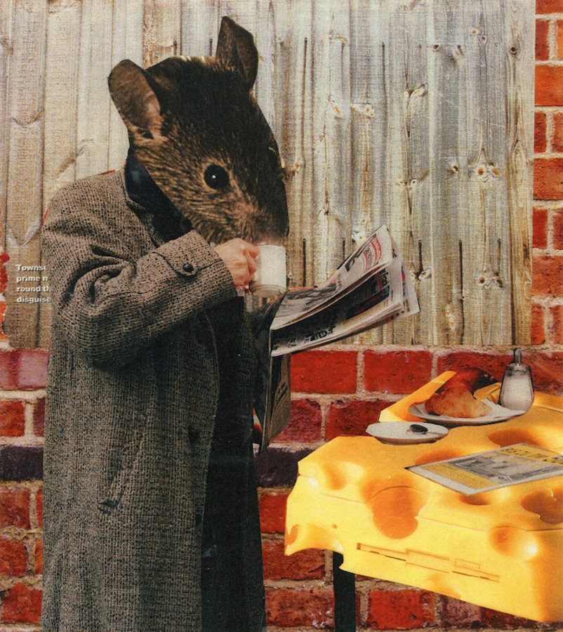 Let’s see, the racing results today; I’ve bet on three blind mice, each way.