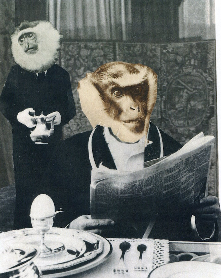 I cannot believe the paper today. My good friend Gibbon has passed away.