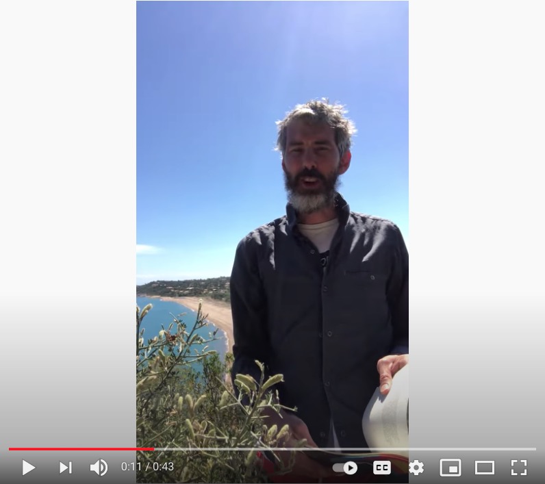 Oliver Dunne. Caesar Reflects on Brotherly Love